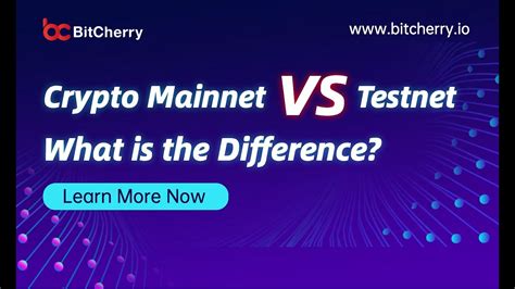 Bitcoin: Testnet vs Mainnet PSBTs
