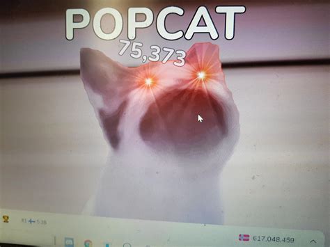 Public Sale, Popcat (POPCAT), Block reward
